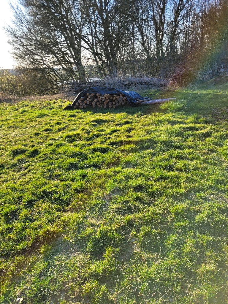 Campen mit Kleinkindern, Weite Fläche, Ruhige Lage